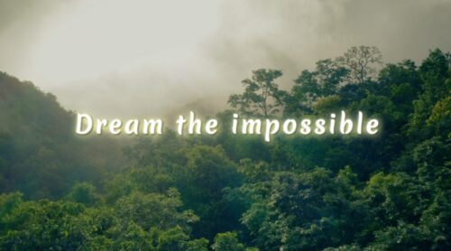 Sharon Rachel - Dream Lyric Video