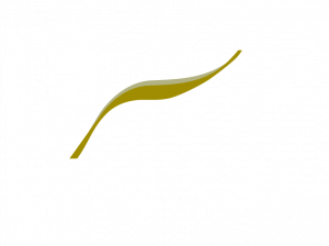 Caz Digital Logo - White Text